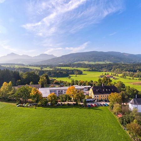 Haus Chiemgau - Kolping-Familienhotel Тайзендорф Екстер'єр фото